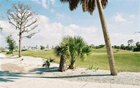 Golfing in South Florida